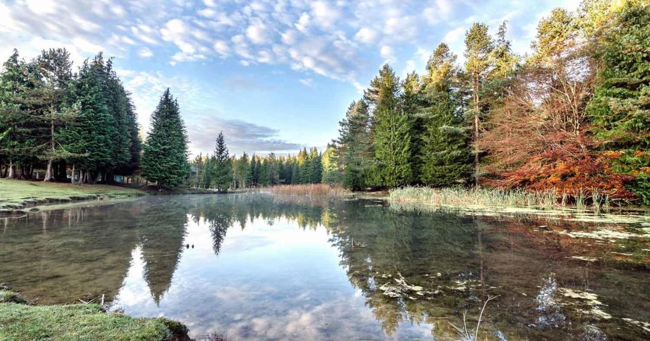 منزل الضيف فيانا  في Jardines De Viana المظهر الخارجي الصورة